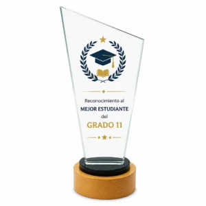 Placa Reconocimiento Obel